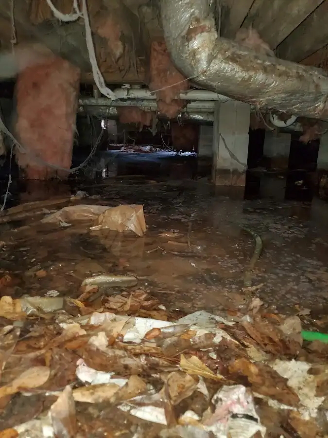 Crawl space flood assessment for Leak Detection & Repair in League City